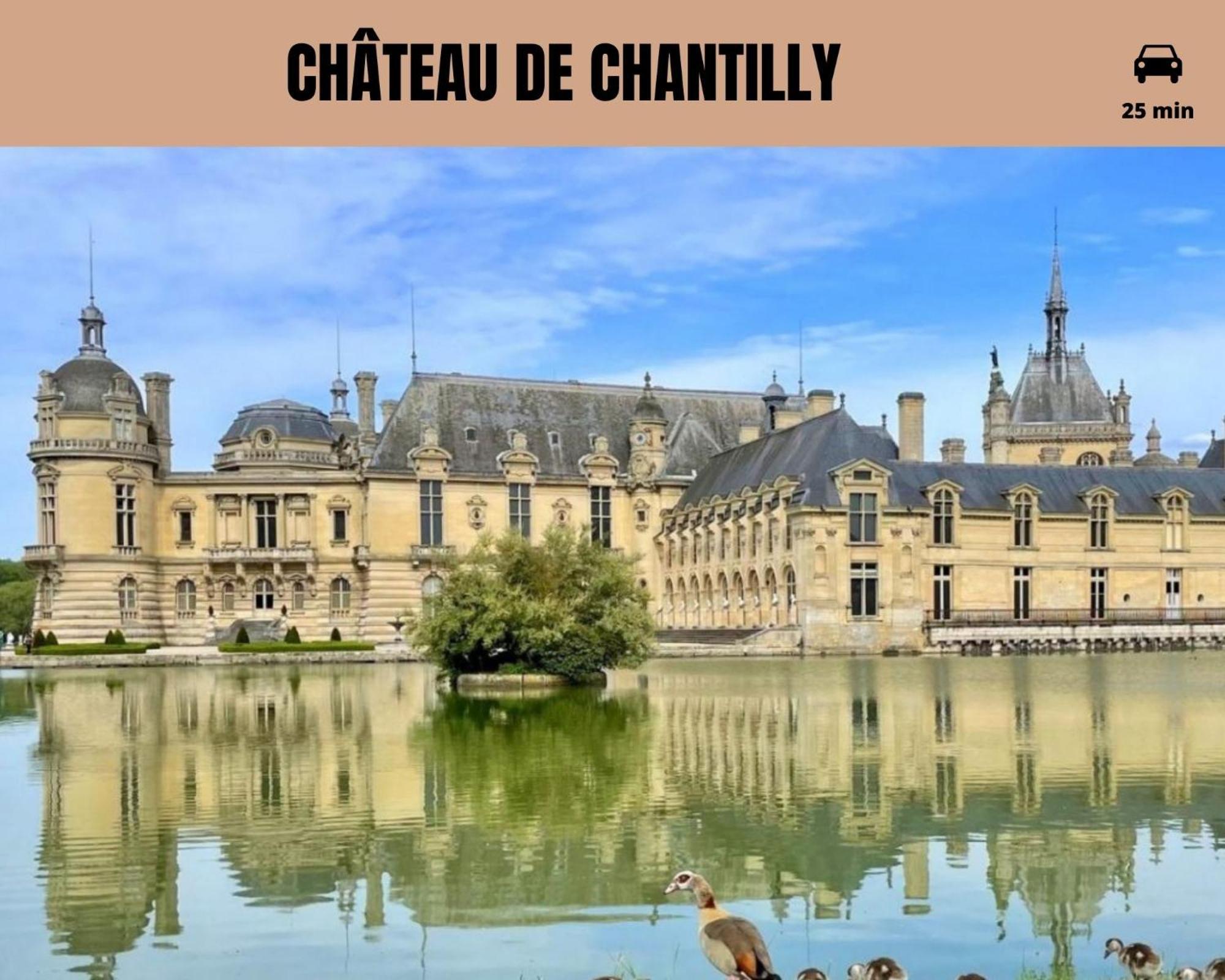 Le Cocon Forestier - Proche Aeroport Beauvais, Chantilly, Foret De Hez-Froidmont, Parking Public Gratuit, Wifi & Netflix Clermont  Luaran gambar